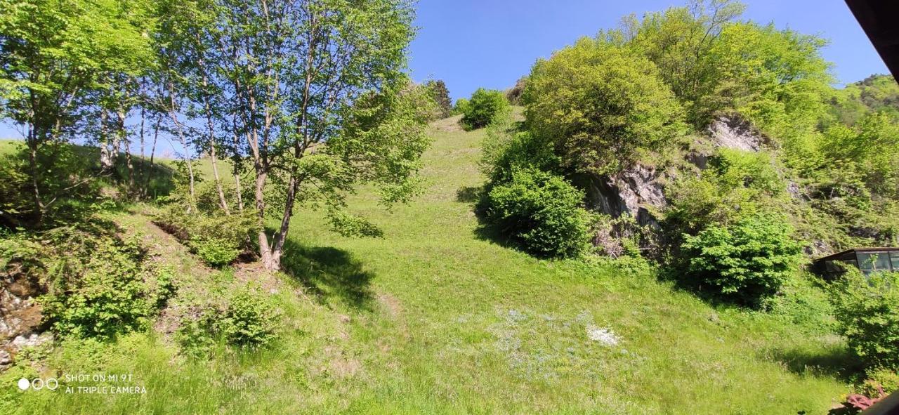 Casa Galet Διαμέρισμα Pieve Di Ledro Εξωτερικό φωτογραφία
